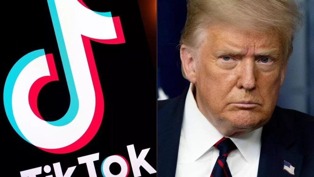 Donald Trump Tried To Stop People From Making Money Off TikTok